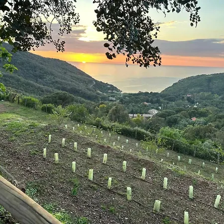 アパート Paradisa