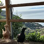 Apartamento Paradisa