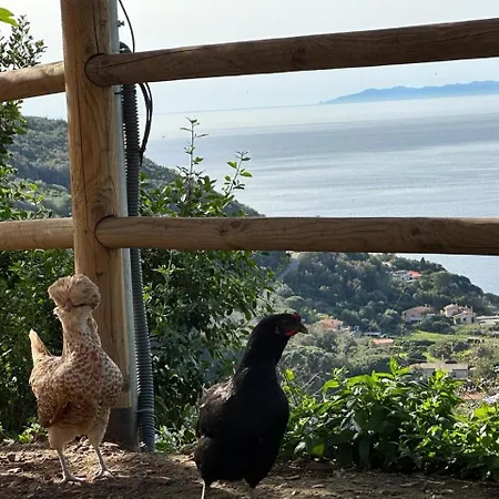 Apartamento Paradisa