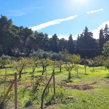 Paradisa Apartamento Rio dellʼElba