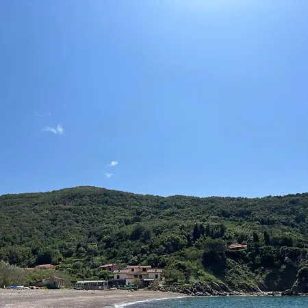 Paradisa