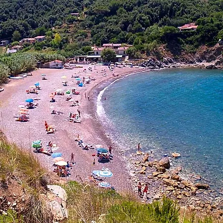 Paradisa *