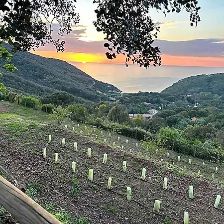 Apartment Paradisa Rio dellʼElba