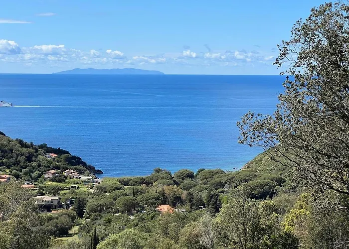 Paradisa Апартаменты